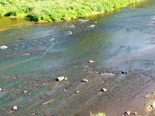 La rivière Nashwaak peu profonde. De roches dépassent la surface de l'eau