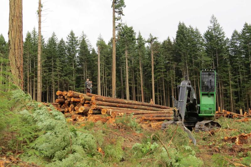 Towaards a more sustainable forestry