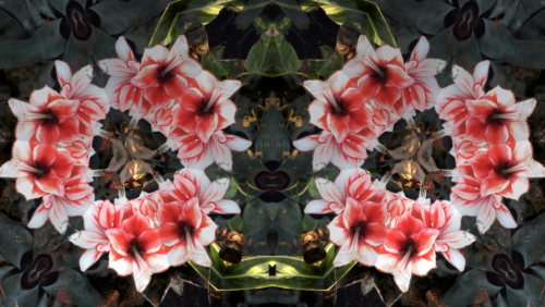 geometric graphic of flowers and leaves in a Kaleidoscope style 