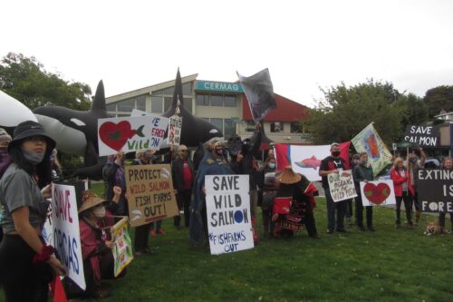 Protesting in front of Cermaq Canada in Campbell River