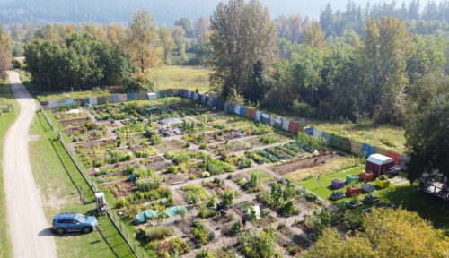 An aerial shot of a community garden on a sunny day.
