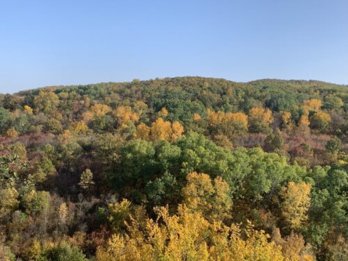 Colline avec des arbres verts, orange et jaune. Un ciel bleu.