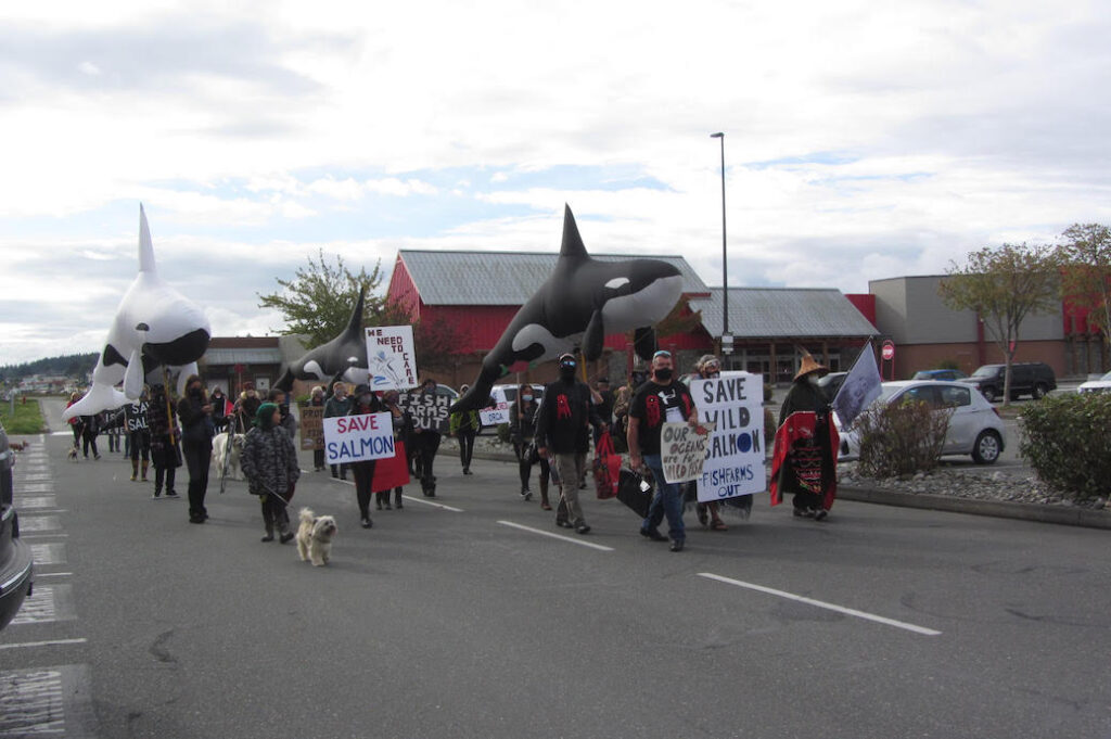 A protest makes its way through Campbell River on a main street. 