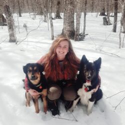 Femme dehors dans la neige avec deux chiens