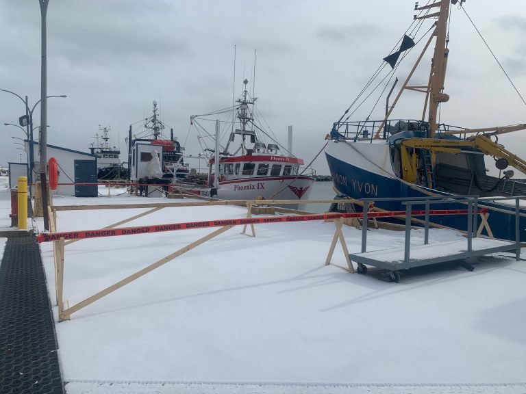 Crab fishing boats at the port of Cap-aux-Mules are seen in dock across a snow covered harbour on an overcast day