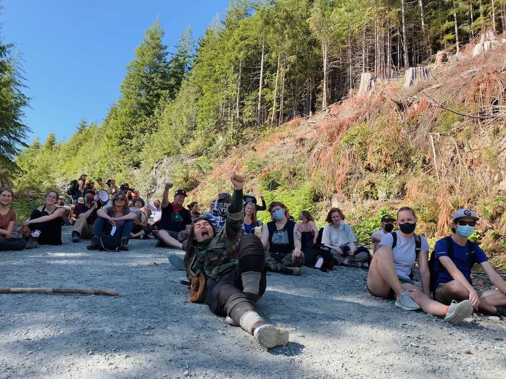 A group of forest defenders take a break on a logging road, pumping fists in the air for the photo