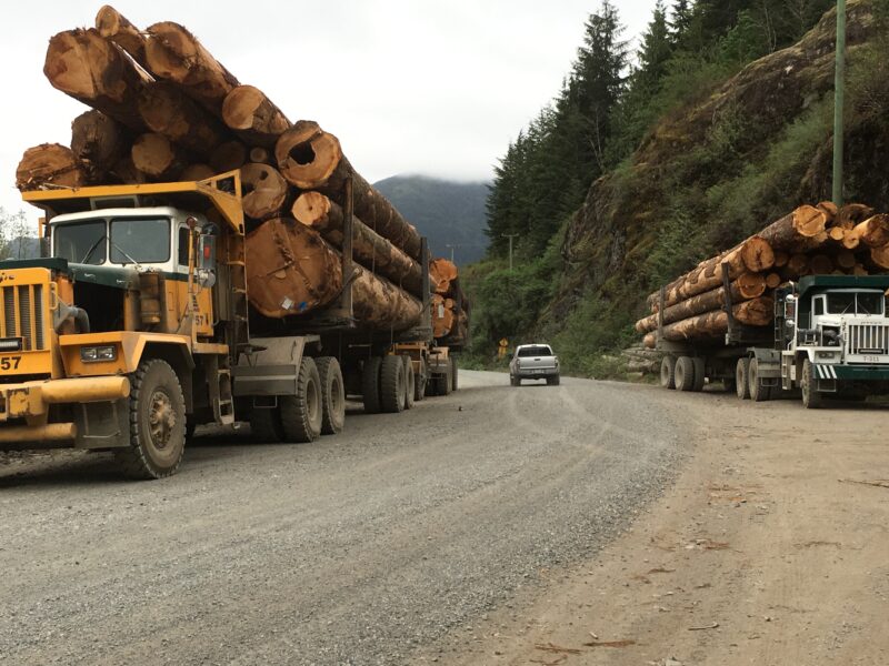 Two logging trucks pass a small car on the road
