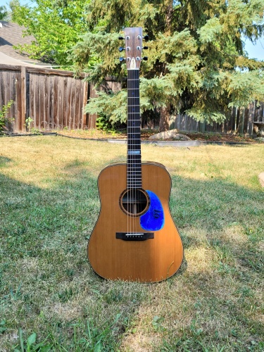 Une guitare en bois avec le logo bleu de la radio d'Envol est placée dehors debout sur l'herbe.