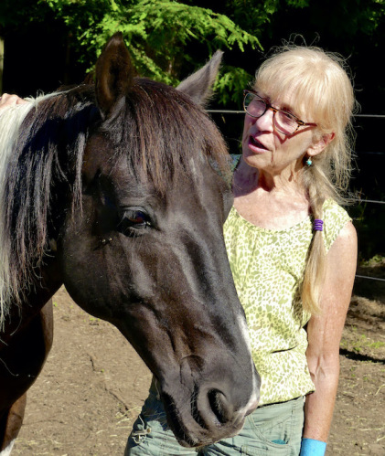 White-haired woman talking to a black horse on a sunny day