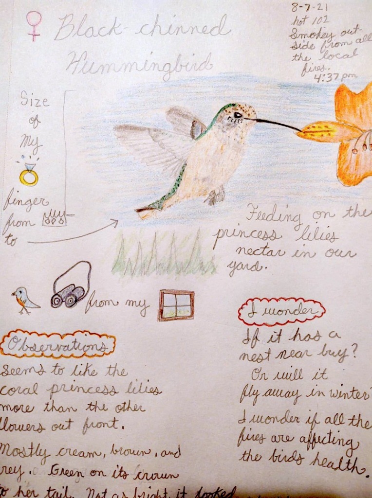 An example of a student's project on hummingbirds with a hand drawn picture and observations.