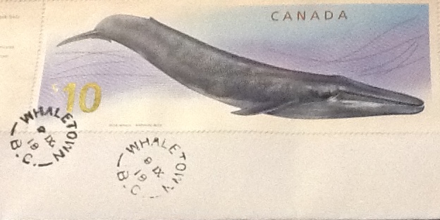 A letter envelope has a stamp with a whale and below it an old-fashioned hand-stamped date of receipt.