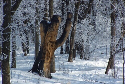 La sculpture sur l'arbre est dans une forêt en hiver, un visage barbu et un bras dans l'air forme la sculpture.