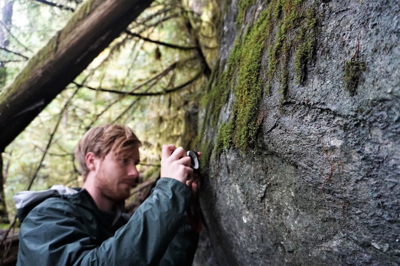 All about moss: a closer look through an ecologist's eyes - Canada Info