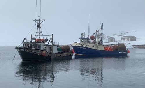 Deux bateaux reposent sur de l'eau calme aux côtés d'une côte parsemée de quelques maisons. Le sol est enneigé.