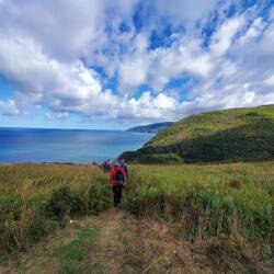 Des randonneurs dans un sentier situé près de la mer et des montagnes.