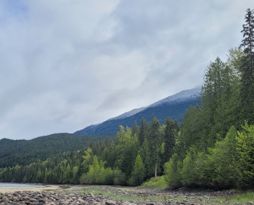 Snowy mountain tops with coniferous trees and the Columbia River in the foreground.