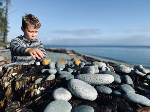 A young boy places rocks on a stump at the beach. The rocks have orange t shirts painted on them.