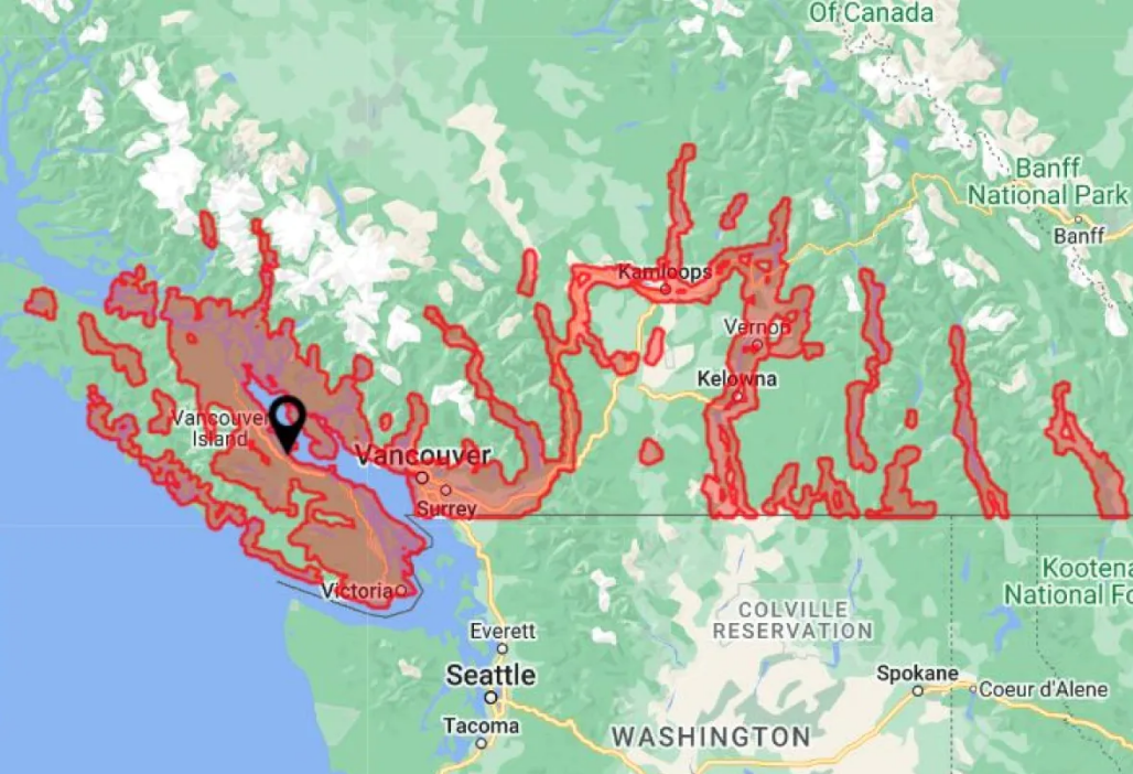 An interactive map of what areas in B.C. are high risk for tick, highlighted in red.