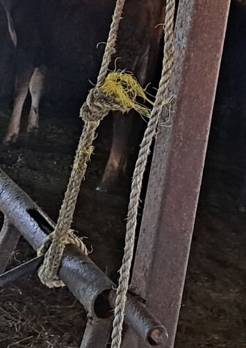 Corde attachée à une barrière à l'intérieur d'une ferme