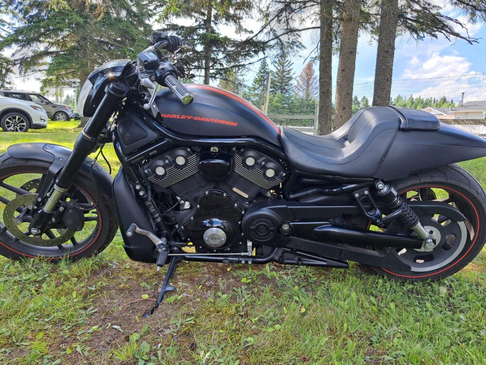 Moto de marque Harley Davidson complètement noire sur du gazon devant des arbres et un ciel bleu