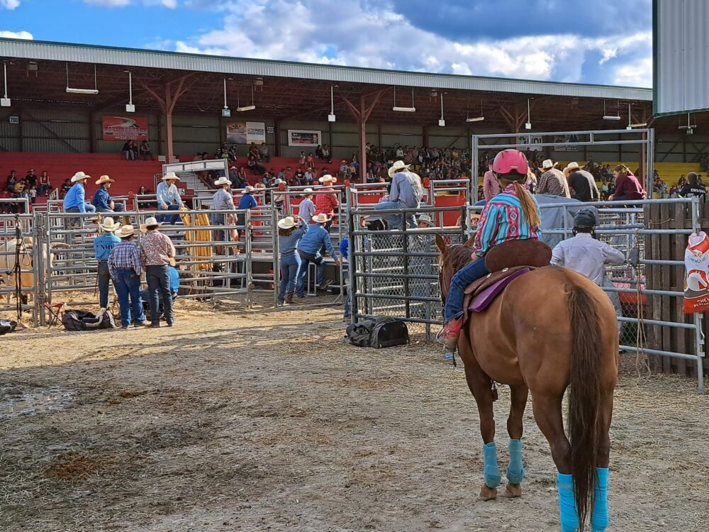 Petit fille au casque rose sur un cheval sur place pendant une compétition de rodéo