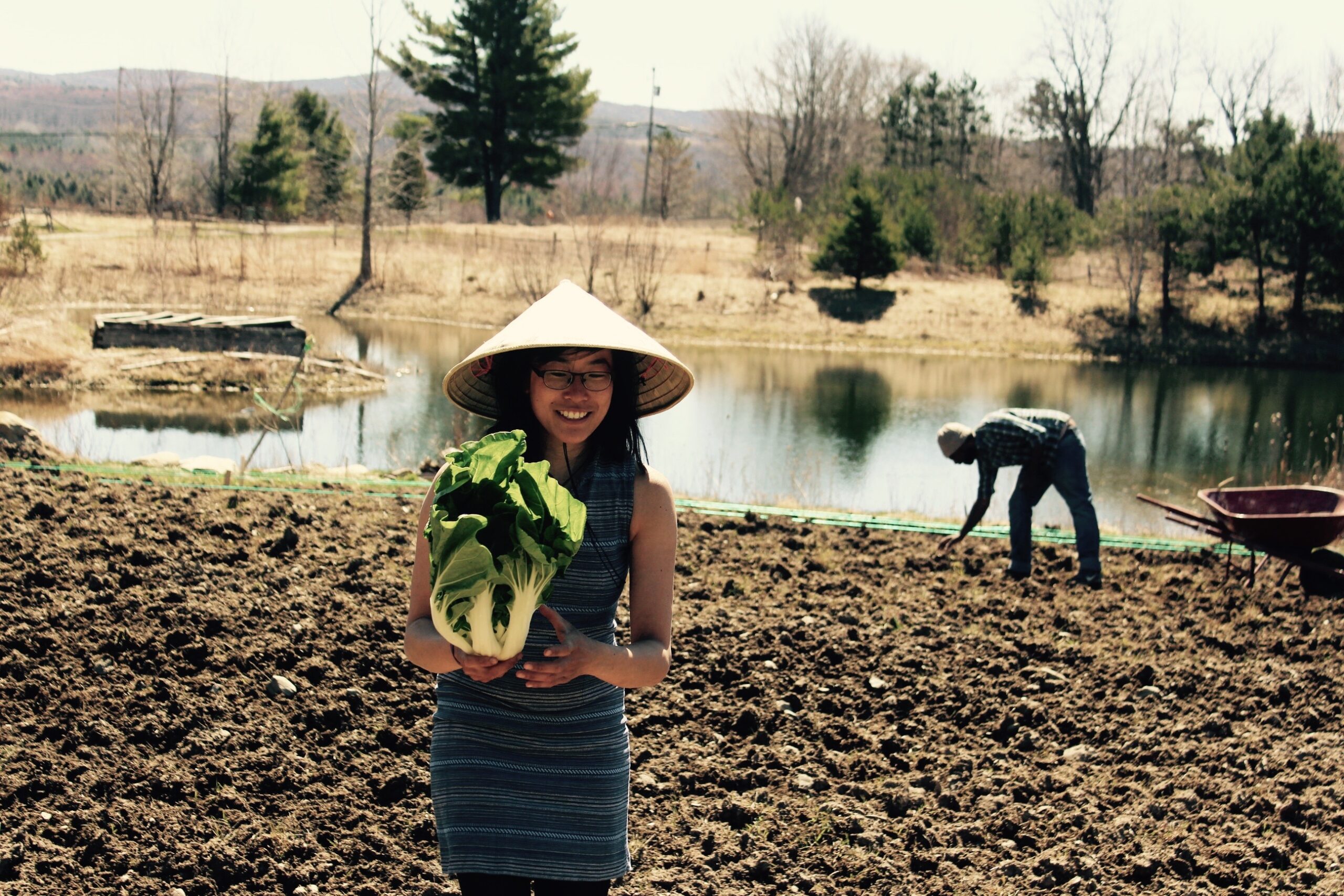 le-rizen-niche-production-of-organic-asian-vegetables-diversifies