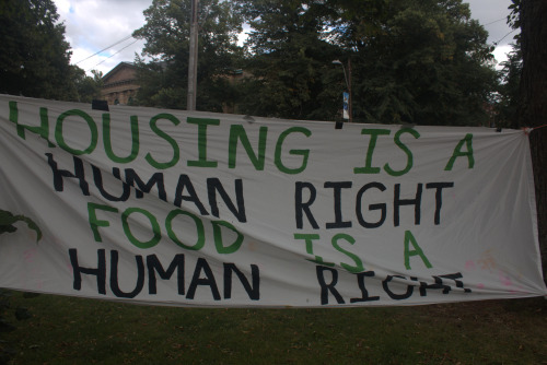 A white banner that says "housing a human right, food is a human right," in green and black writing.