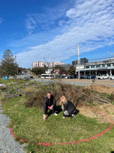 Photo of a man and a woman sitting on the grass smiling. They are in the city, there is a street and building behind the,. 