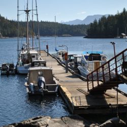 A long dock features boats moored in an island setting.