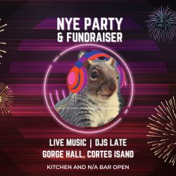 A poster for an event called "NYE PARTY & FUNDRAISER."