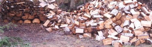 A large pile of wood is sitting next to a wall of stacked wood.