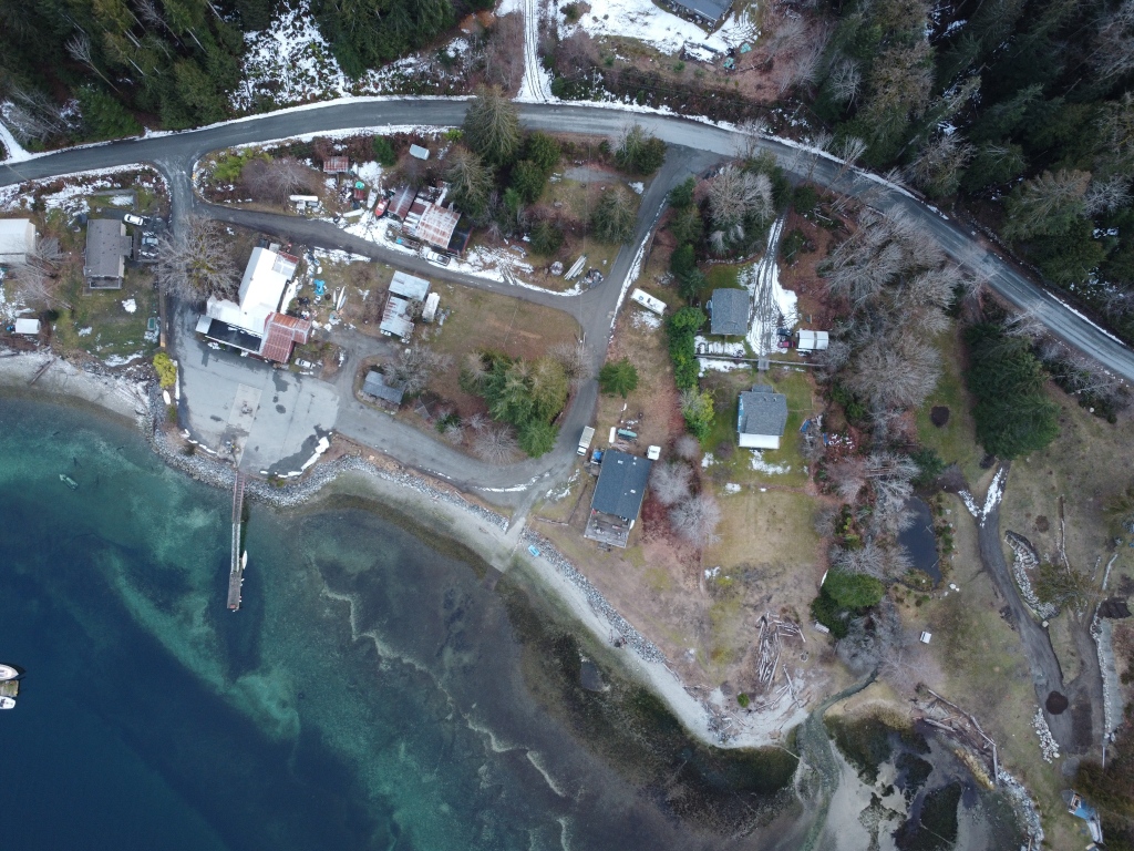 Squirrel Cove green lights Seafest return Canada Info