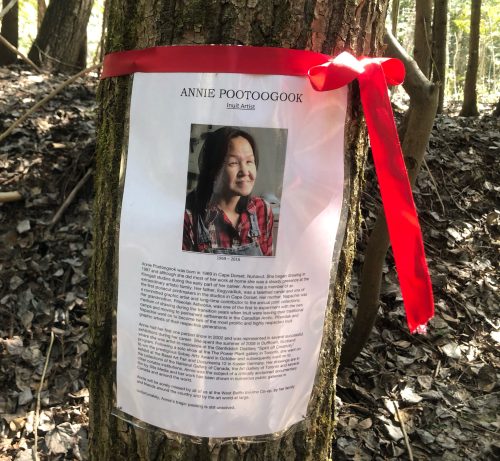 Close up of a tree with a red ribbon tied around it, and a piece of paper with a picture of Annie Pootoogook, and a biography below.