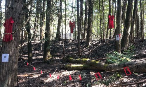 Red dresses hang in a shady forest, a string of cut out paper dresses in the foreground.