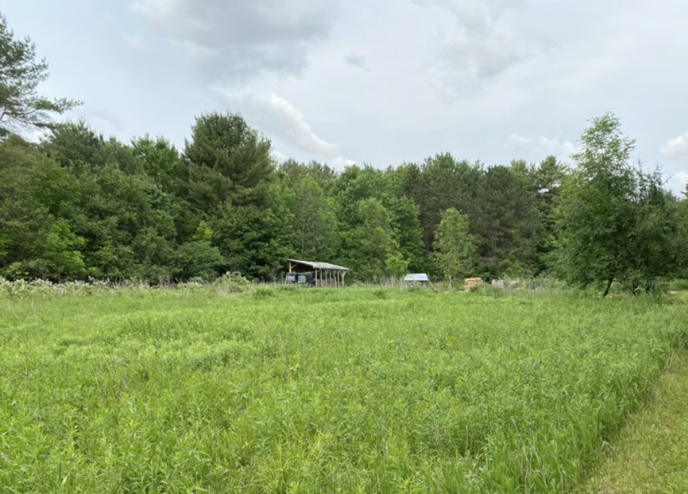 Land donation provides opportunity for smallscale regenerative farming