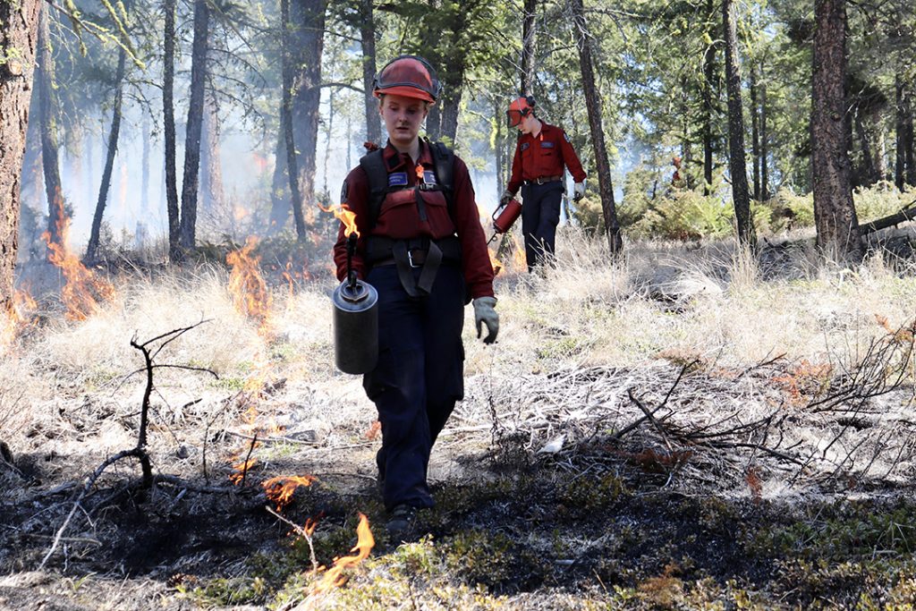A woman wearing a red BC Wildfire Service shirt carries a cannister with a flame at the end as she walks through a forest burning dry grass