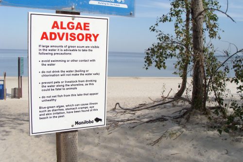 an algae advisory sign states no one should be in the lake due to a health risk. Weather is sunny.