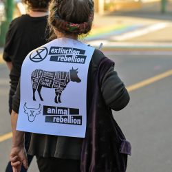 Woman wears a sign reading extinction rebellion, animal rebellion.