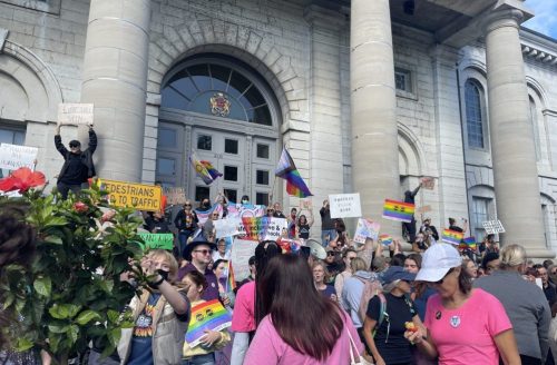 2slgbtqia+ protestors in front of city hall. They fill the steps of city hall, holding various rainbow signs and signs supporting the trans community.
