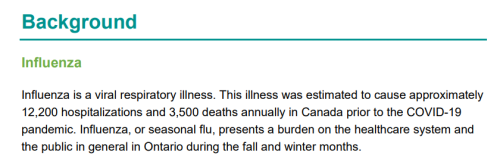 Text describes the detrimental toll of influenza pre-pandemic. 