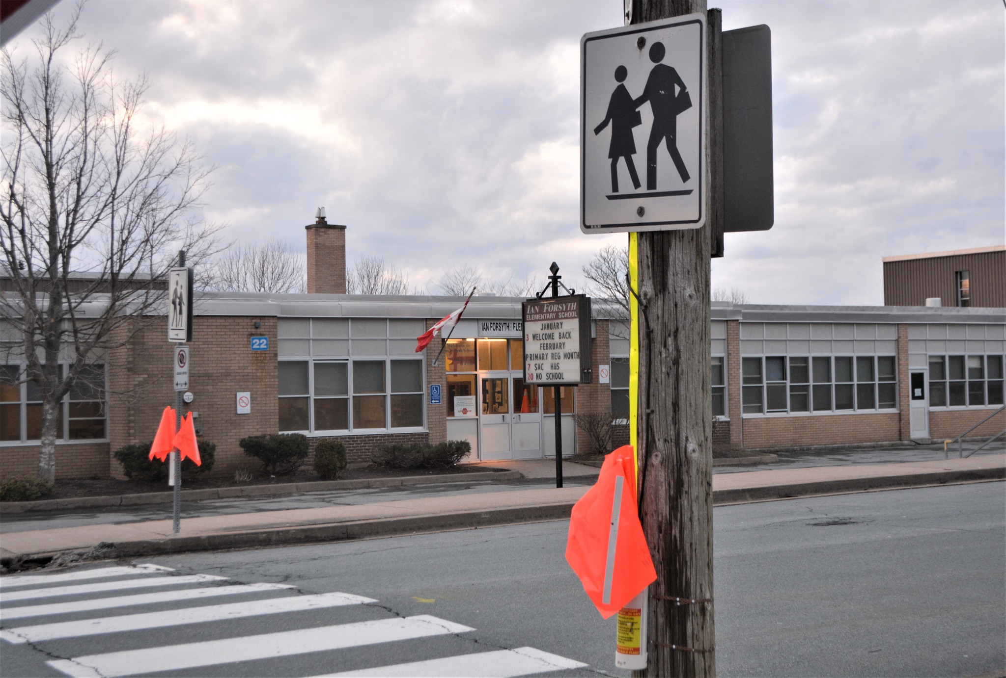 Halifax not doing enough for pedestrian safety, report says Canada Info