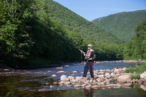 Un pêcheur de saumon sur une rivière au pieds des montagnes.