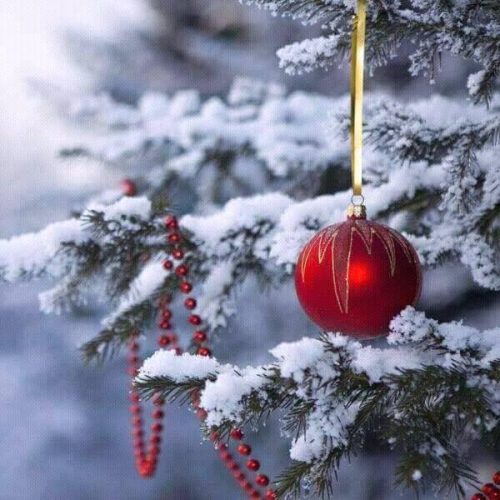 Une boule rouge sur un arbre de Noël.