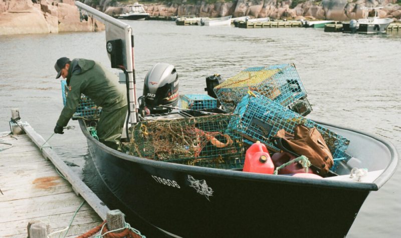 Un pêcheur dans un bateau rempli de casiers de homard détache une corde qui retient l'embarcation d'un quai de bois.