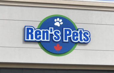 L'affiche de Ren's Pets
