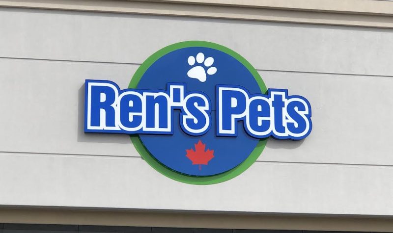 L'affiche de Ren's Pets