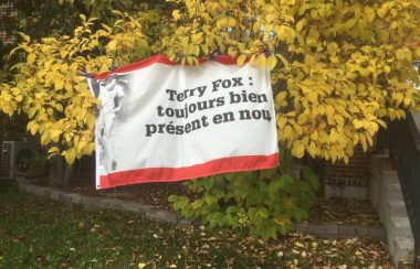 L'un des drapeaux de la course de Terry Fox qui est accroché dans un arbre près du Centre civique.
