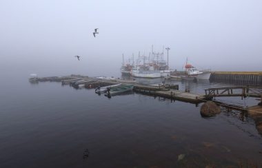 1200px-fishing_harbour_old_fort_bay_07