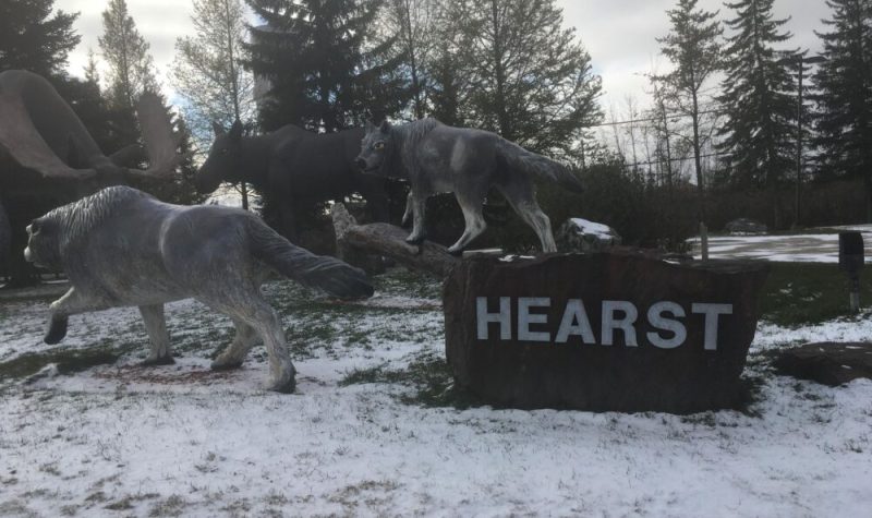 Des sculptures de loup à l'entrée de la ville de Hearst