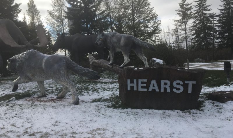 Les statues de loup qui se trouvent à l'entrée de la ville de Hearst